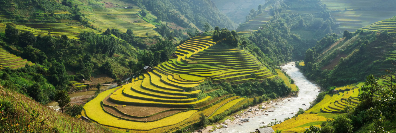 Terraced fields