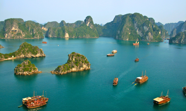 Halong tours