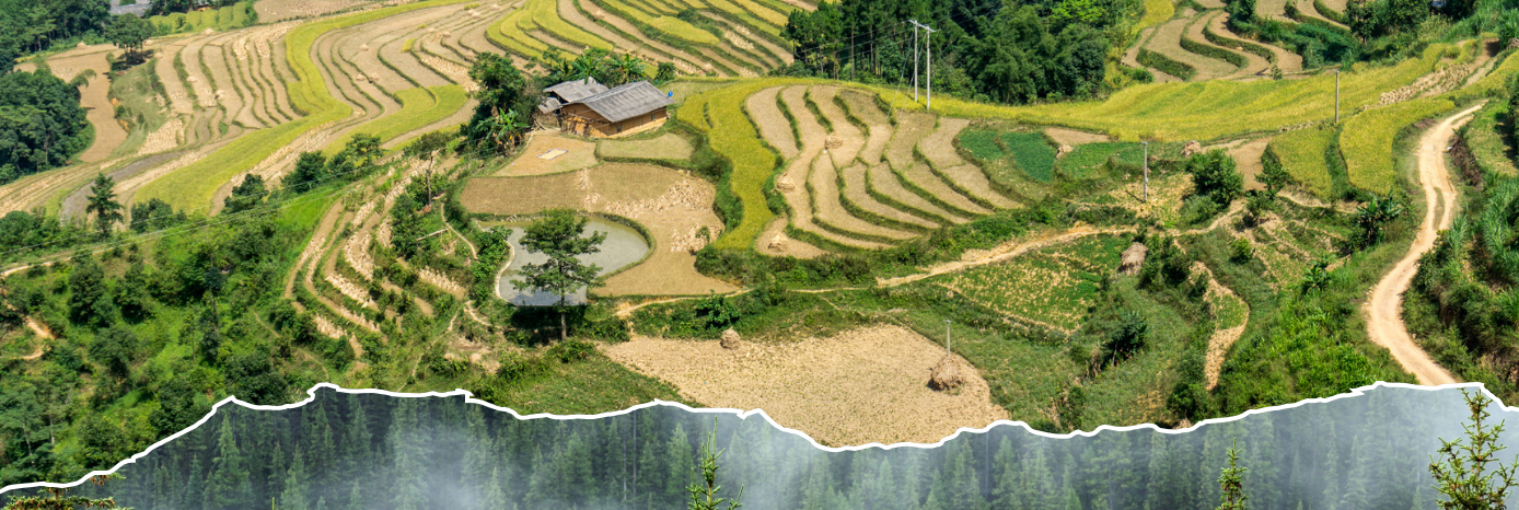 Northern Inspirations